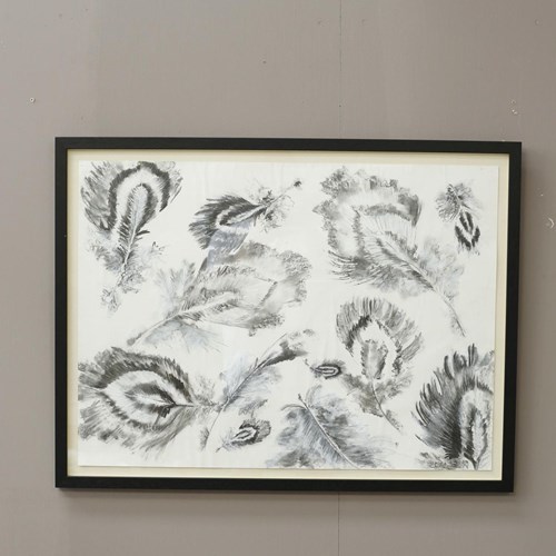 21St Century Charcoal And Chalk Artwork - Feathers 2