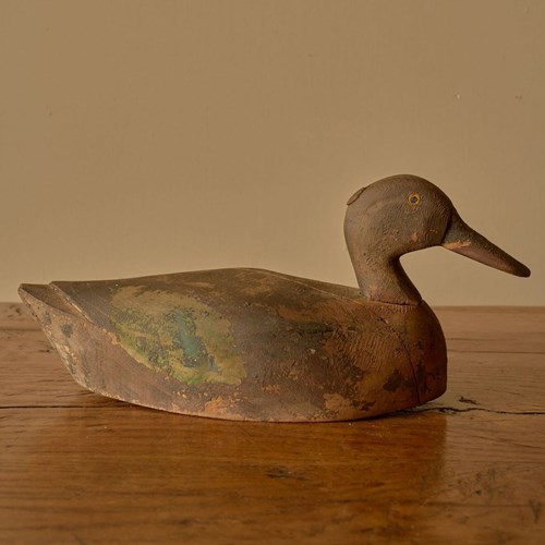 Early 20Th Century Decoy Duck - No6