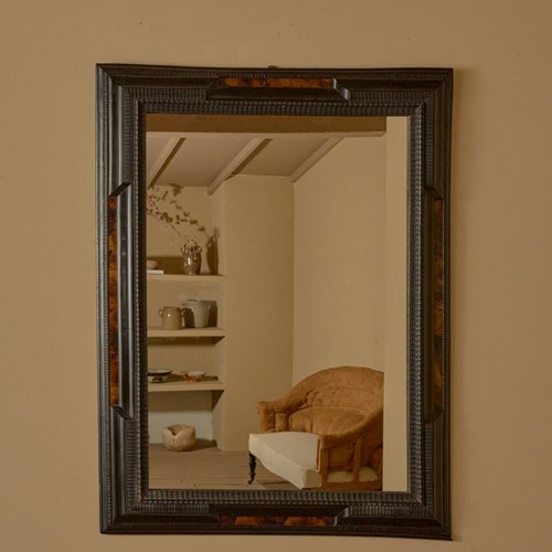 Large 19Th Century Italian Ebonised And Faux Tortoiseshell Mirror - No1