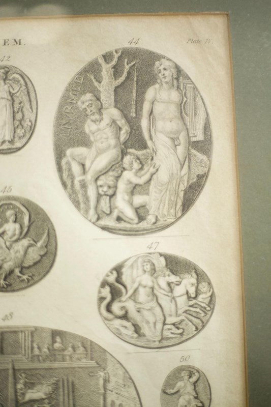 18Th Century Book Plate Of Intaglio's-tallboy-interiors-3--j1a7744-main-638141567374467408.jpeg