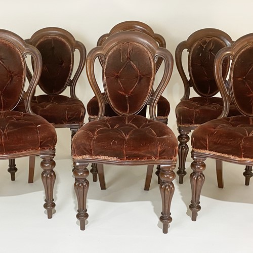 Set of Mid-19th Century Mahogany Dining Chairs