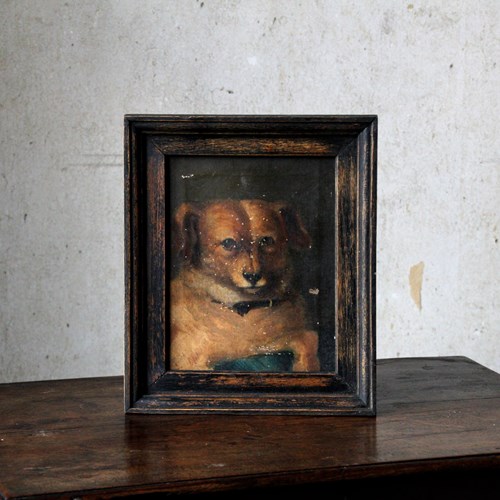 19Th Century Oil Painting On Canvas, Portrait Of A Dog, English Naive School