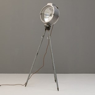 British Bullfinch Floodlight