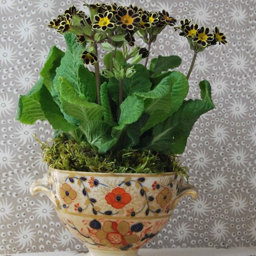 Early Derby Pedestal Bowl With 'Gold Lace' Primula