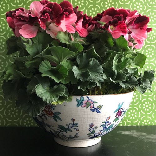 Porcelain Chinoiserie Bowl With Potted Geranium 'Don Camaro'