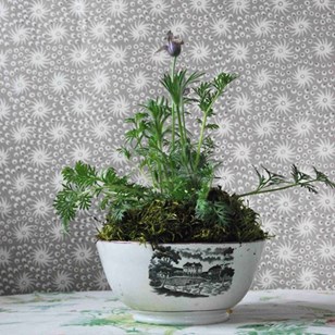 Regency Bat-Print Pink Lustre Bowl ...