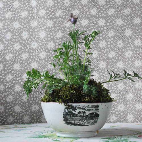 Regency Bat-Print Pink Lustre Bowl With Pulsitilla