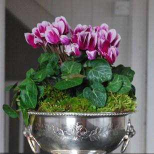 English Silver-Plated Presentation ...