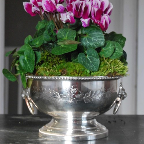 English Silver-Plated Presentation Bowl With Cyclamens