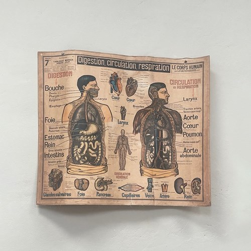 Double Sided Medical Wall Hanging