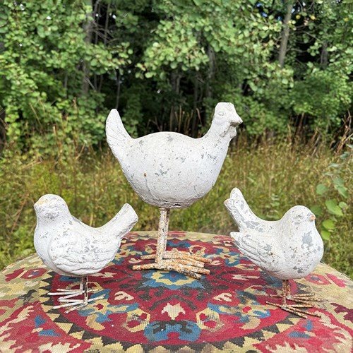 Mother Hen And Chicks