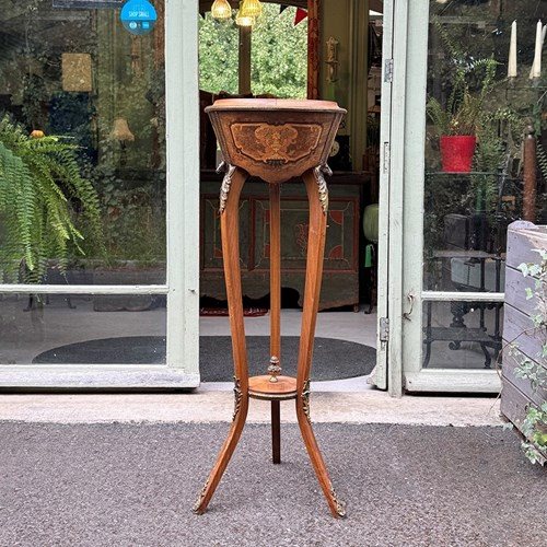 Louis XV Style Plant Stand