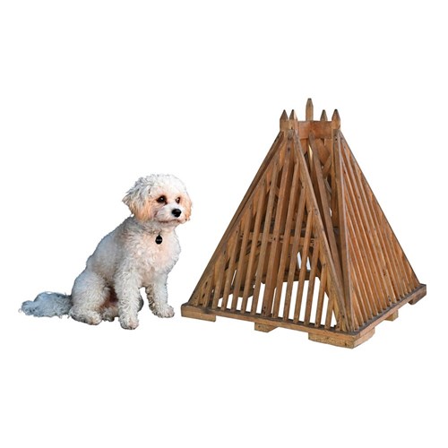 Huge Architectural Model