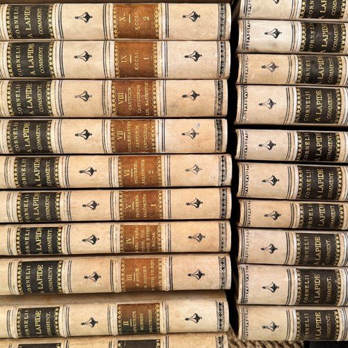 Antique velum leather & marbled bound books Cornelii a Lapide