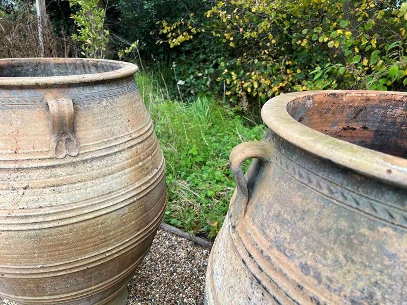 Large Cretan Amphoras-the-vintage-garden-company-t4-main-638360766839413531.jpg