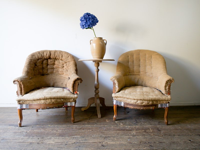 A Pair Of French Tub Chairs -the-vintage-rooms-french-chairs--5-main-638333536705609225.jpg