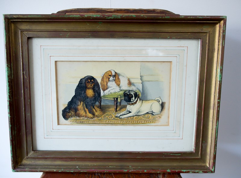 Dog print -the-vintage-rooms-pug-printedit--3-main-638079981079816925.jpg