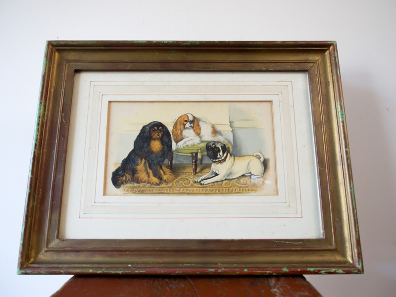 Dog print -the-vintage-rooms-pug-printedit--7-main-638079979926156265.jpg