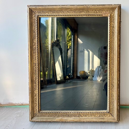 Antique Gilt Framed Display Box