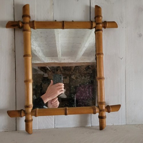 A French Faux Bois Mirror