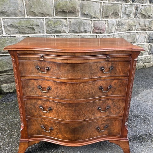 Antique Burr Walnut & Mahogany Chest Drawers