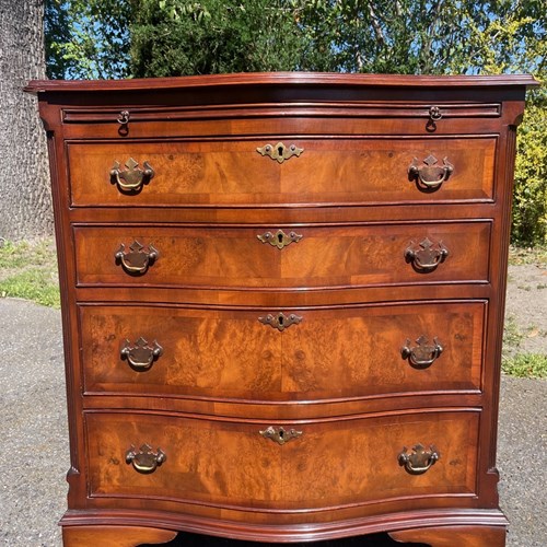 Antique Burr Walnut Chest Drawers
