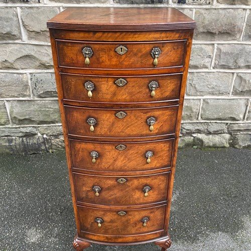 Antique Slim Burr Walnut Chest Drawers