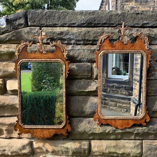 Pair Geo III Style  Walnut & Parcel Gilt Pier Mirrors