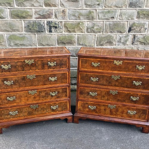 Fine Pair Oyster Burr Walnut Chest Drawers