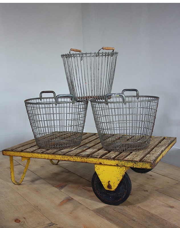 Metal Wire Basket -turner--cox-img-cropped01-9191-main-636924868946252946.jpg