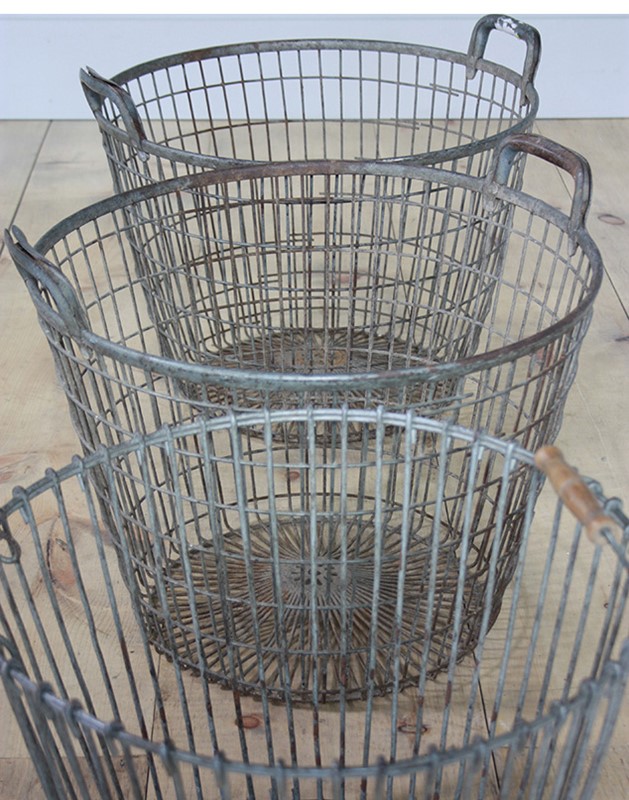 Metal Wire Basket -turner--cox-img-cropped02-9206-main-636924869010471165.jpg