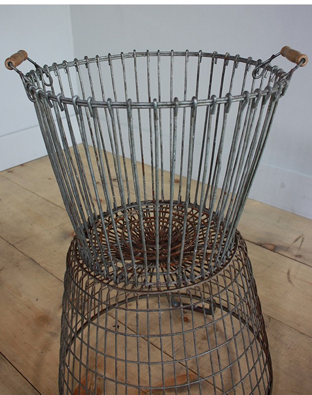 Metal Wire Basket -turner--cox-img-cropped04-9201-main-636924869073029038.jpg