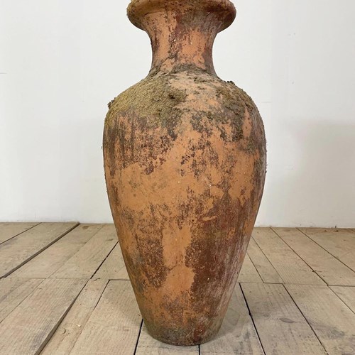 Large Antique European Terracotta Weathered Pot 