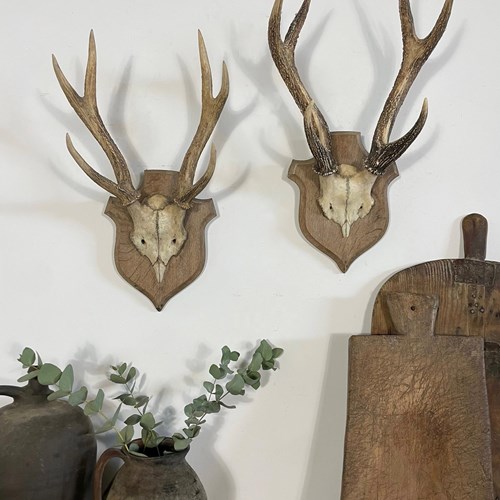Pair Of Vintage Antique Decorative European Antlers 