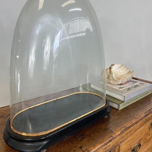 Victorian Antique Taxidermy Glass Dome 