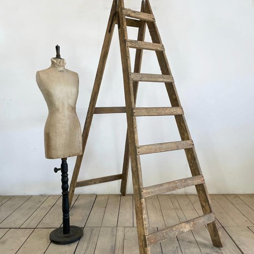 Large Antique French Shop Display Ladders 