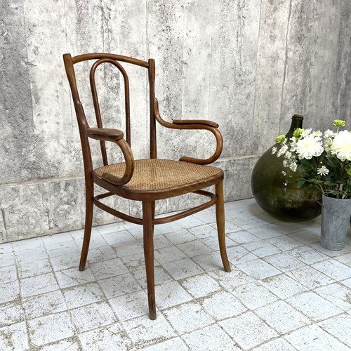 Individual Bentwood French Bistro Chair Carver With Cane Seat