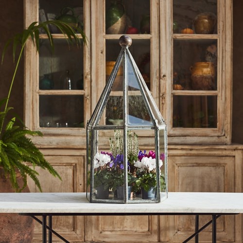 Mid Century Terrarium