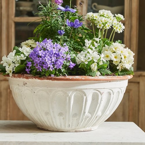 Italian Bowl Planter