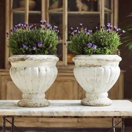 Fluted French Urns