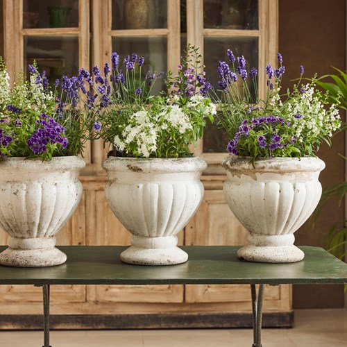 Trio Of  French Fluted Planters