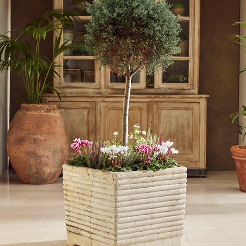 Square Ribbed Planter