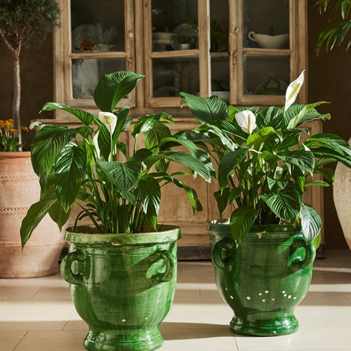 Pair Of Castelnaudary Urns