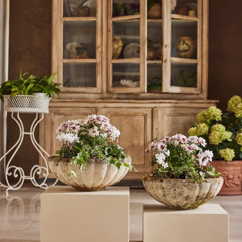 Scalloped Bowl Planters