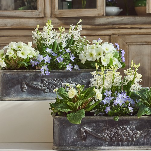 Pair Of English Lead Planters
