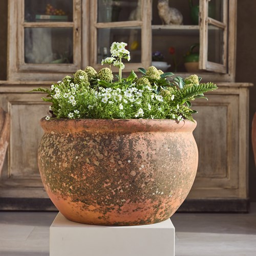 Vintage Terracotta Planter