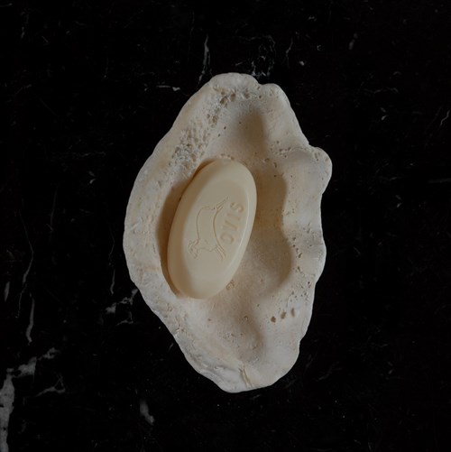Single Clam Shell Dish