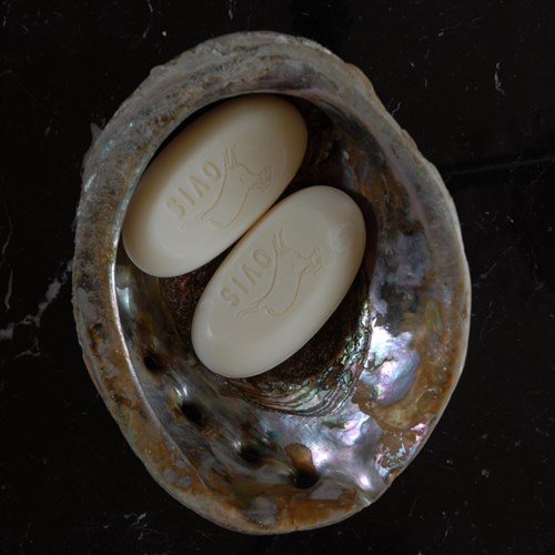 Vintage Abalone Shell Dish
