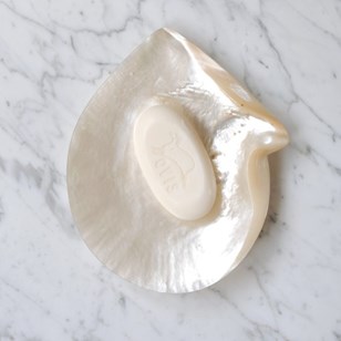 Shell Soap Dish