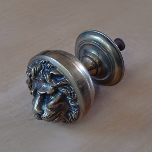 Georgian Lion Door Pull